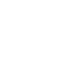 Kidney